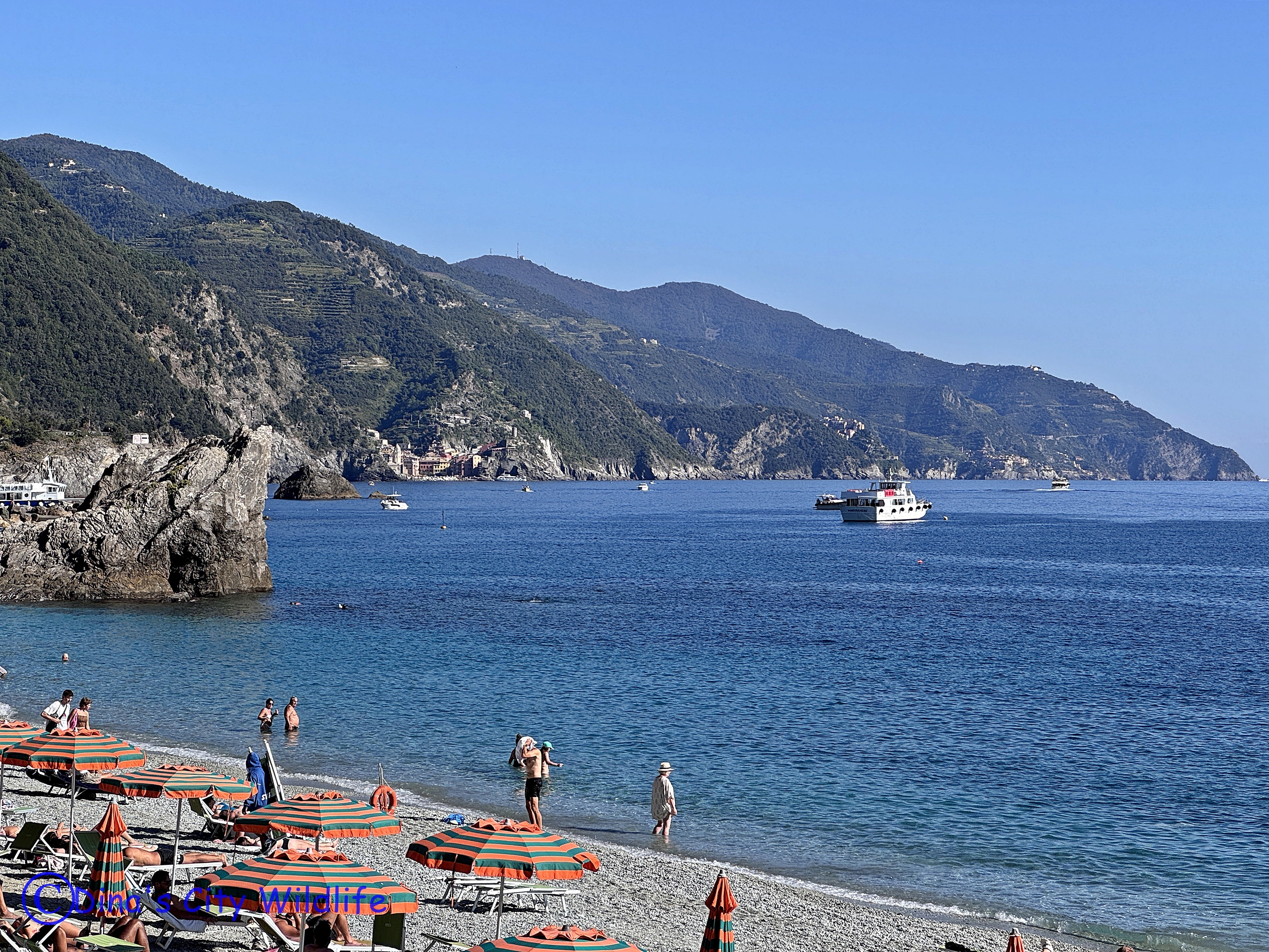 A day in Cinque Terre – Dina's Wildlife Adventures